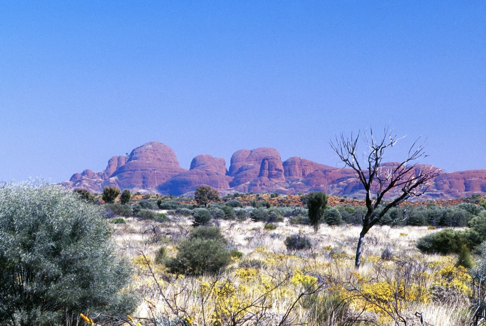 We Love Travel and There's Nothing Like Australia We Love Travel and There's Nothing Like Australia
